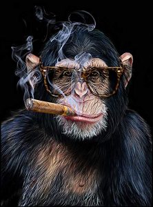 Cigar Monkeys – Cigarmonkeys.com – The CigarMonkeys