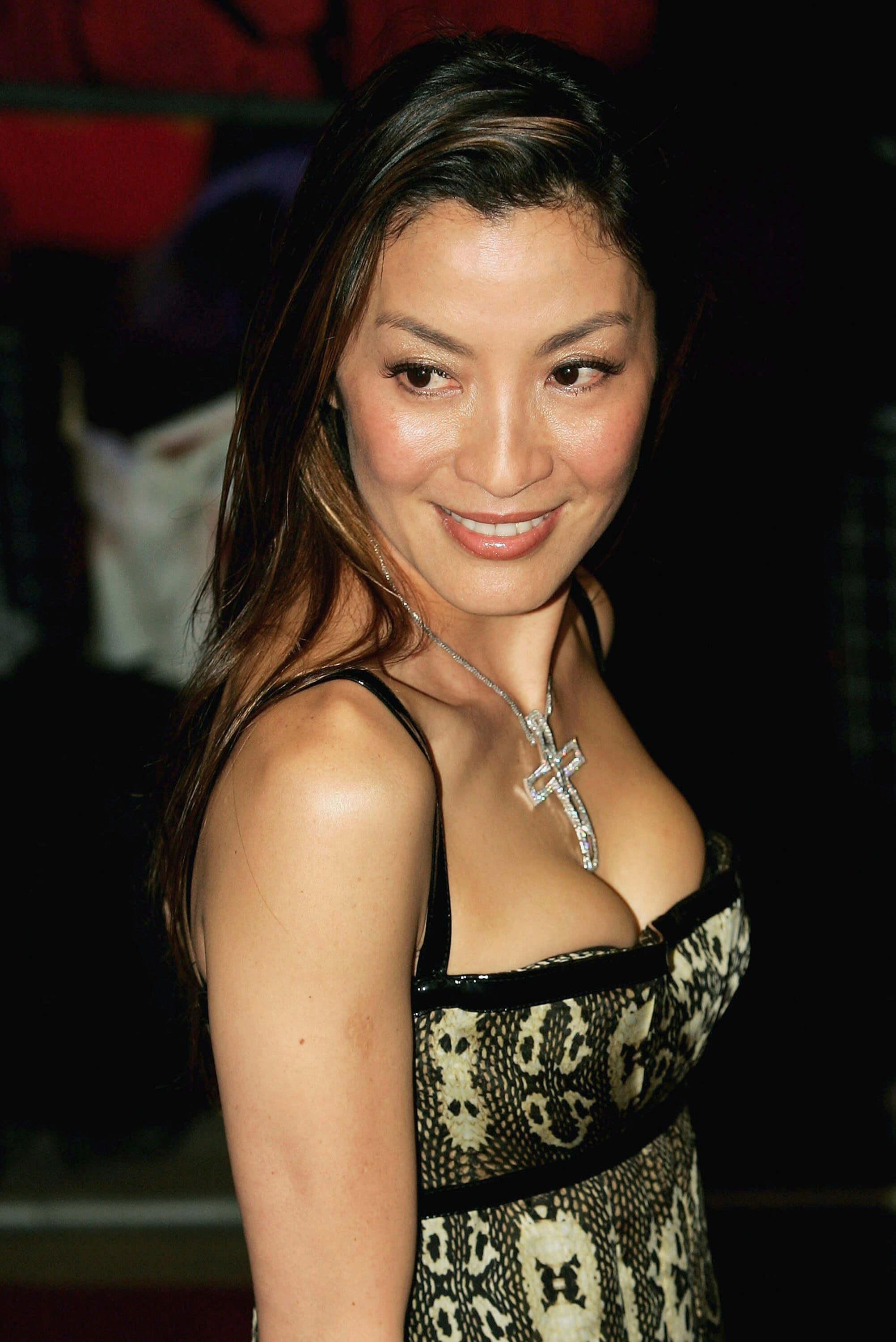 65 Sexy Pictures Of Michelle Yeoh Will Heat Up Your